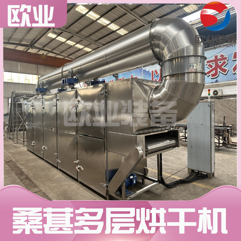 桑葚烘干流水線